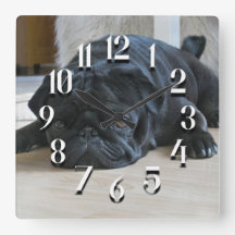 Mignonne Carlin noir Puppy Mur Horloge