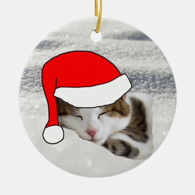 Mignonne Santa Hat Kitten Dormir Ornement de Noël (Devant)