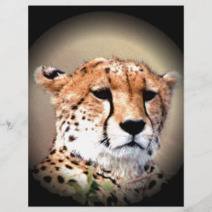 Mignonnes Marques de Larmes de Guépard Hakunamatat