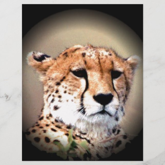 Mignonnes Marques de Larmes de Guépard Hakunamatat (Devant)