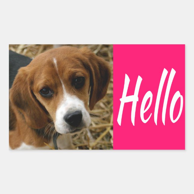 Mignons autocollants de salutation / salut chiot B (Devant)