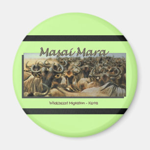 Migration de gnou/gnou, magnet de safari