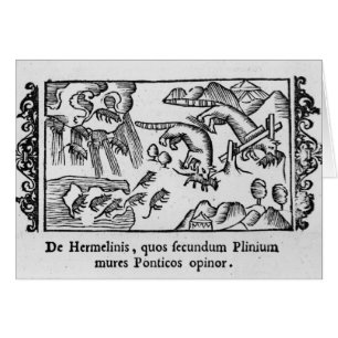 Migration des lemmings