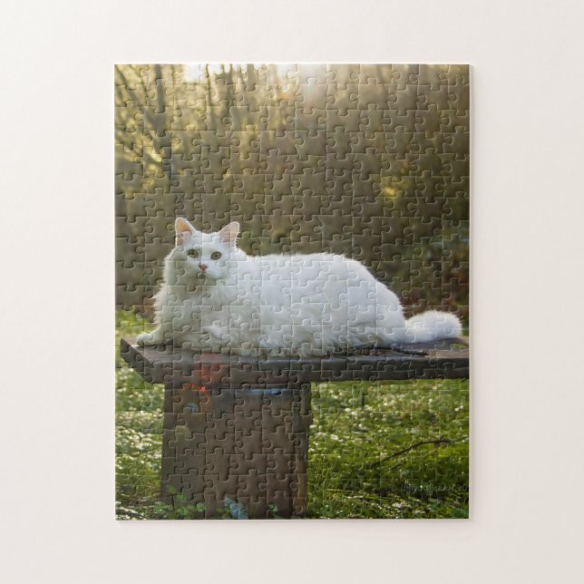 Mikey's Walk Puzzle (Vertical)