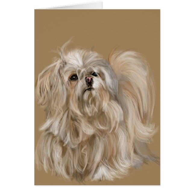 Miki (homonymie) (Devant)