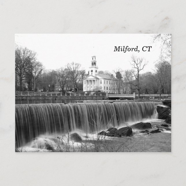 Milford, CT Duckpond Carte postale (Devant)