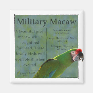 Militaire Macaw Magnet