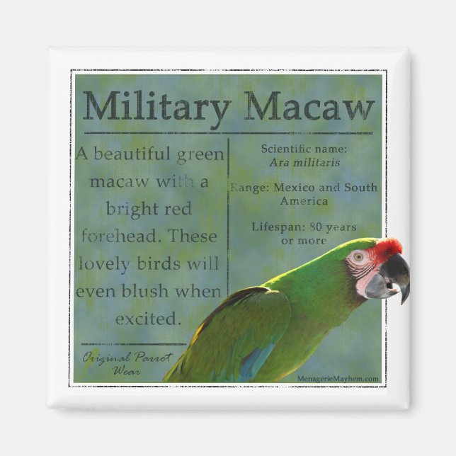 Militaire Macaw Magnet (Devant)
