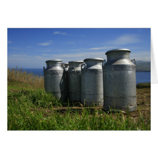 Milk urns