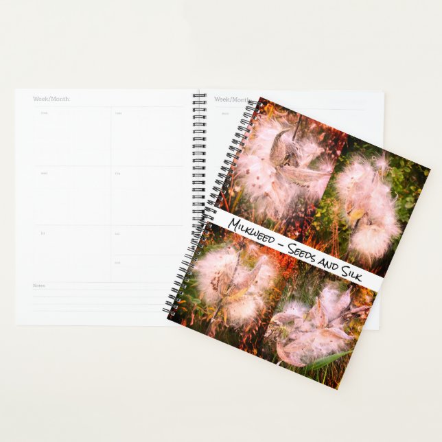 Milkweed | Sangria (Devant avec enveloppe)