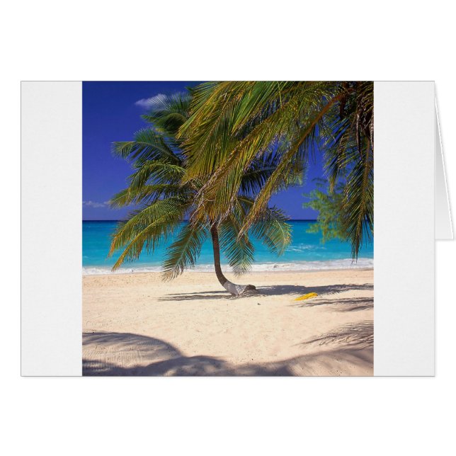 Mille tropical Grand Cayman de l'île sept (Devant horizontal)
