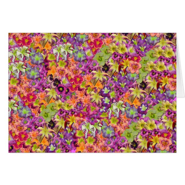 Milliers de Daylilies ! (Devant horizontal)