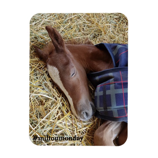 Milton Monday Magnet (Vertical)