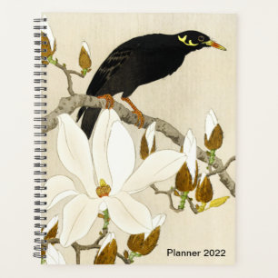 Mina On Magnolia Branch par Koson, Common Hill Min
