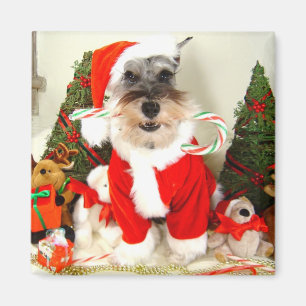 Mini aimant de Noël de Schnauzer
