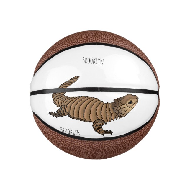 Mini Ballon De Basket Armadillo girdled lizard (Devant)
