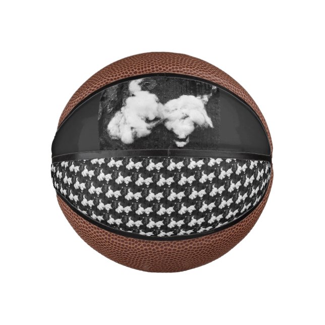Mini Ballon De Basket basketball duvet (Devant)
