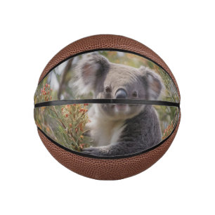 Mini Ballon De Basket Grevillea Koala Bear,