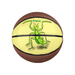 Mini Ballon De Basket Illustration drôle de mante verte en prière