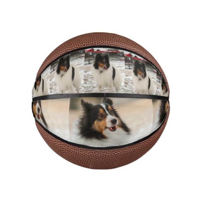 Mini Ballon De Basket Shetland (Devant)