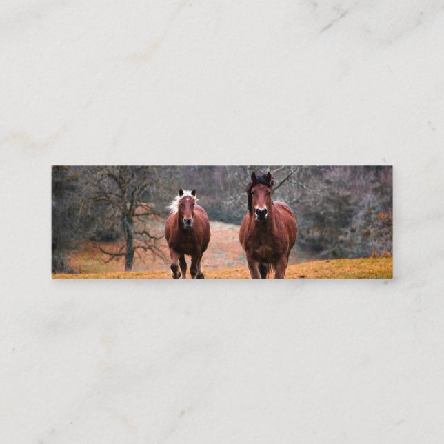 Mini Carte de visite (Devant)
