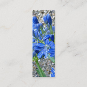 Mini Carte de visite de signet d'Agapanthus