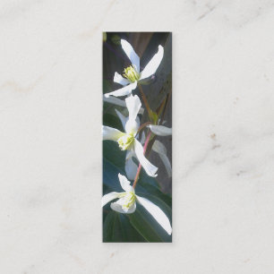 Mini Carte de visite de signet de fleur d'Armandii de