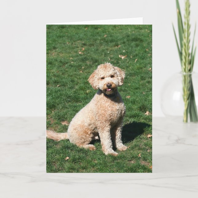 Mini carte de voeux de chiot de Goldendoodle (Devant)