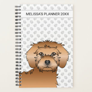 Mini Goldendoodle abricot Chien de dessin animé &