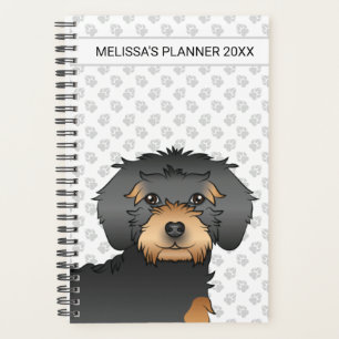 Mini Goldendoodle noir et fauve Chien de dessin an