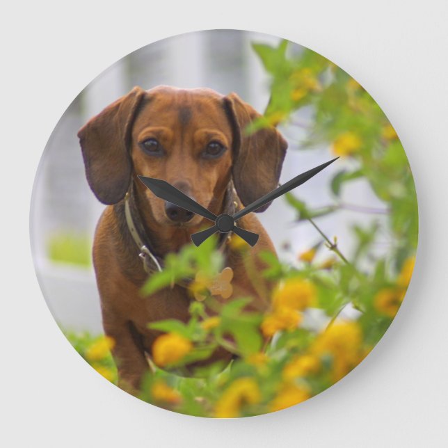 Mini horloge rouge Dachshund (Recto)