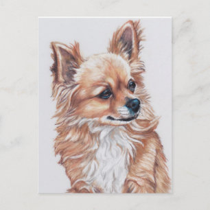 Mini la carte postale Chihuahua DogArt