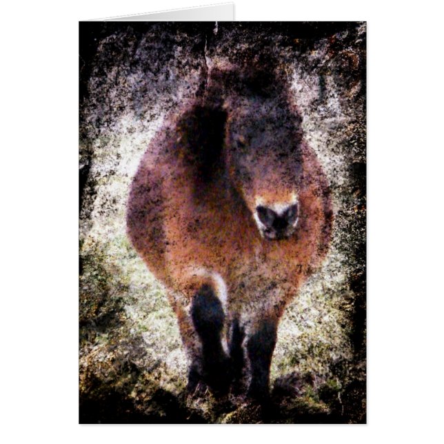 Mini Mare Grunge (Devant)