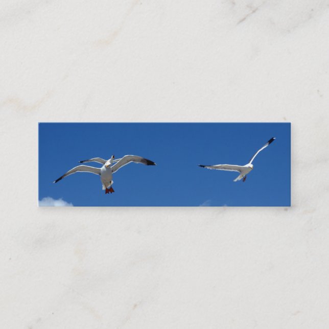 Mini Mouettes signet carte de visite (Devant)