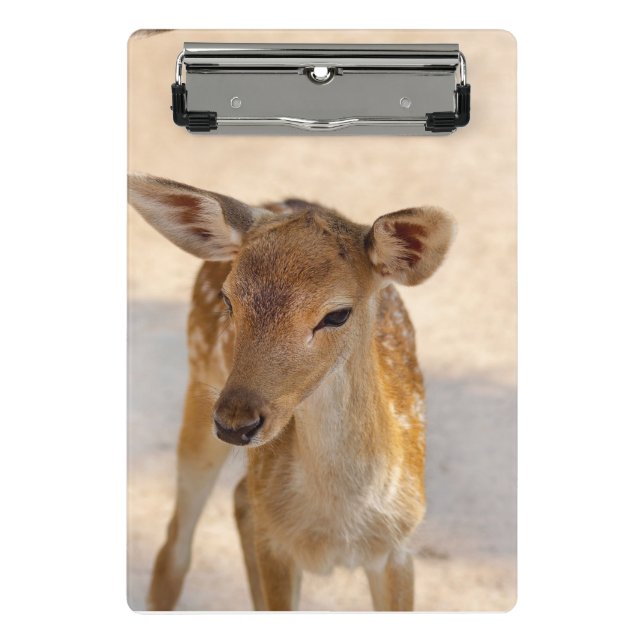 Mini Porte-bloc Baby Deer (Devant)