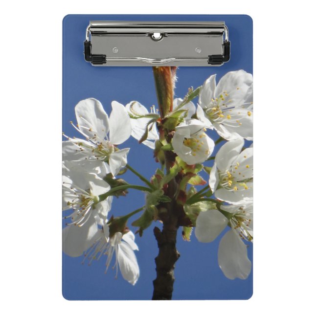 Mini Porte-bloc Blossom du printemps blanc (Devant)
