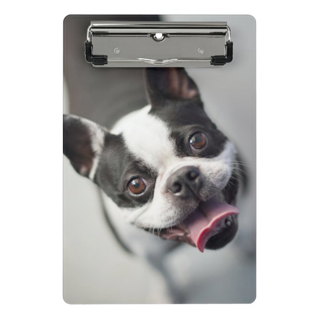 Mini Porte-bloc Bouledogue français des images | de Getty (Devant)