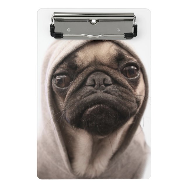 Mini Porte-bloc Carlin dans un sweat - shirt à capuche (Devant)