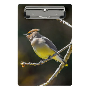 Mini Porte-bloc Cèdre cire Songbird Photo originale Oiseau sauvage