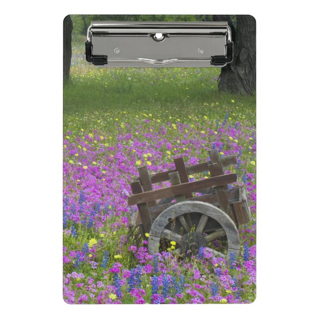 Mini Porte-bloc Chariot en bois dans un champ de Phlox, Bonnets bl (Devant)