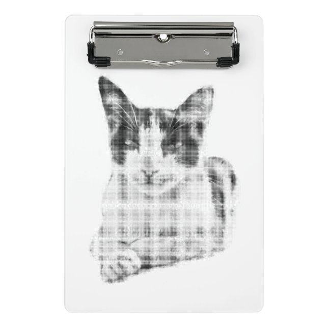 Mini Porte-bloc Chat calico effet demi-teinte (Devant)