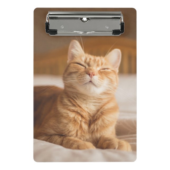 Mini Porte-bloc Chat somnolent des images | de Getty (Devant)