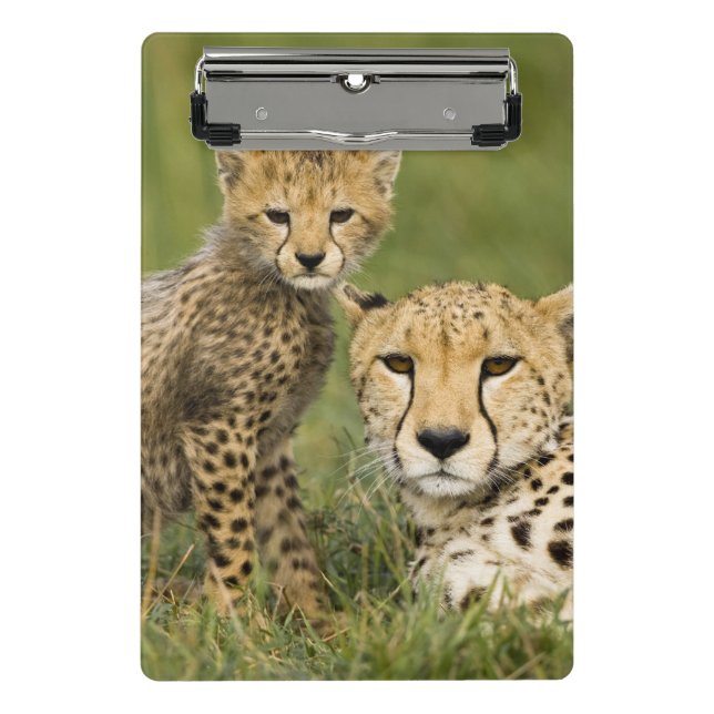Mini Porte-bloc Cheetah, Acinonyx jubatus, avec Cub (Devant)