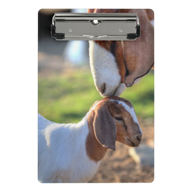 Mini Porte-bloc Chèvre et bébé de mère (Devant)