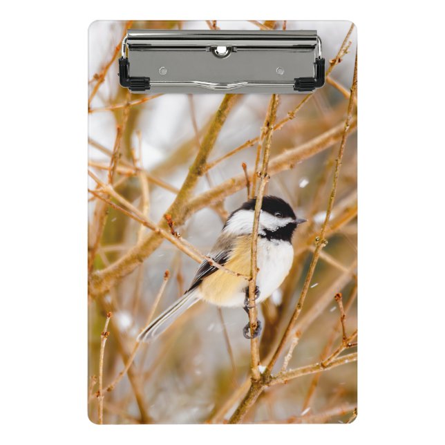 Mini Porte-bloc Chickadee au plafond noir - Photo originale (Devant)