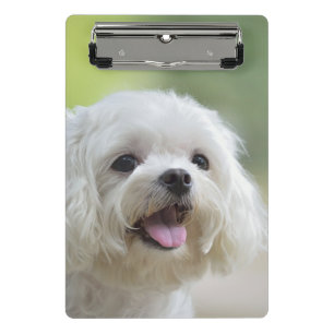 Mini Porte-bloc Chien maltais blanc