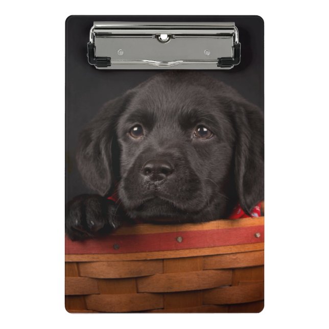 Mini Porte-bloc Chiot noir de labrador retriever dans un panier (Devant)