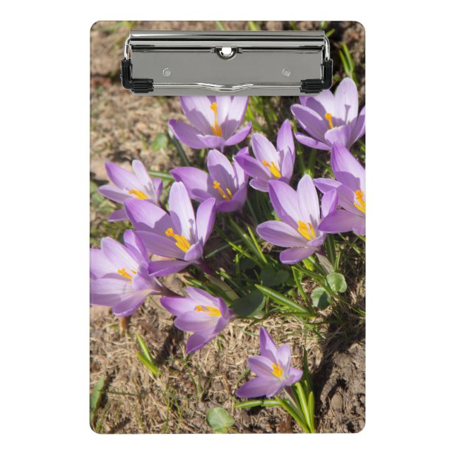 Mini Porte-bloc Crocus de printemps mignons (Devant)