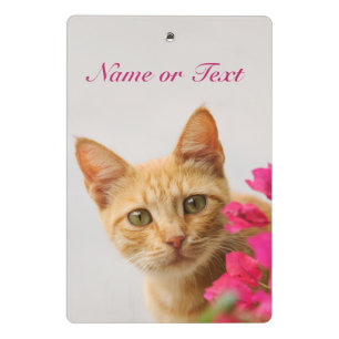 Mini Porte-bloc Cute Ginger Chat Kitten regarder photo personnalis