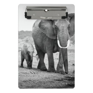 Mini Porte-bloc Éléphant africain et veaux   Kenya, Afrique